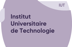 Institut Universitaire de Technologie - IUT